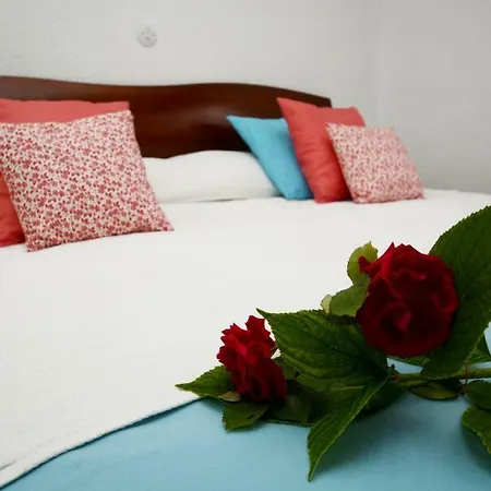 Carmela - 5832 * Isla Plana